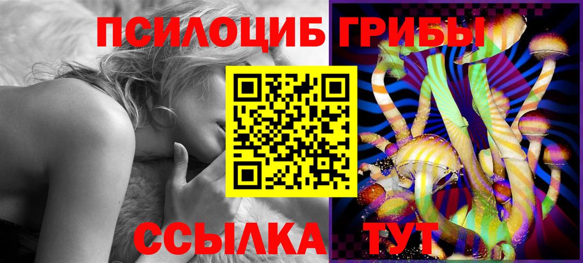 Псилоцибиновые грибы Psilocybine cubensis Изобильный