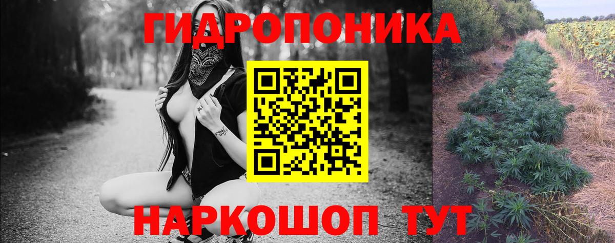Канабис ГИДРОПОН Изобильный